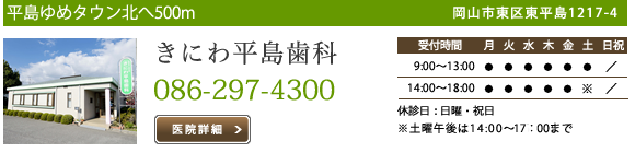 きにわ平島歯科